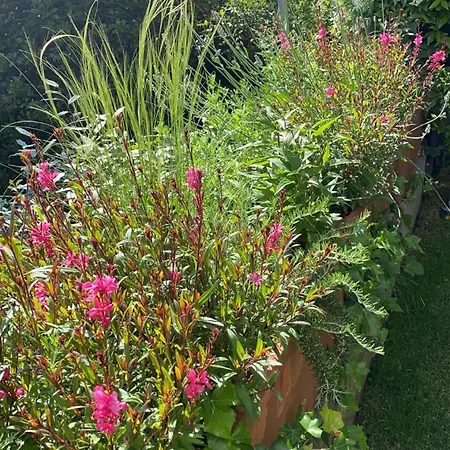 Esclusivo Con Giardino A Due Passi Dal Centro